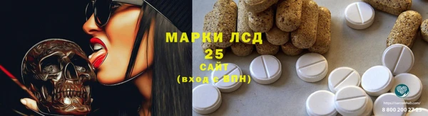 хмурый Лагань