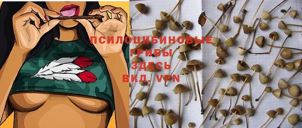 круглые Ладушкин