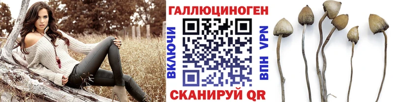 Галлюциногенные грибы мухоморы  продажа наркотиков  Спас-Клепики 